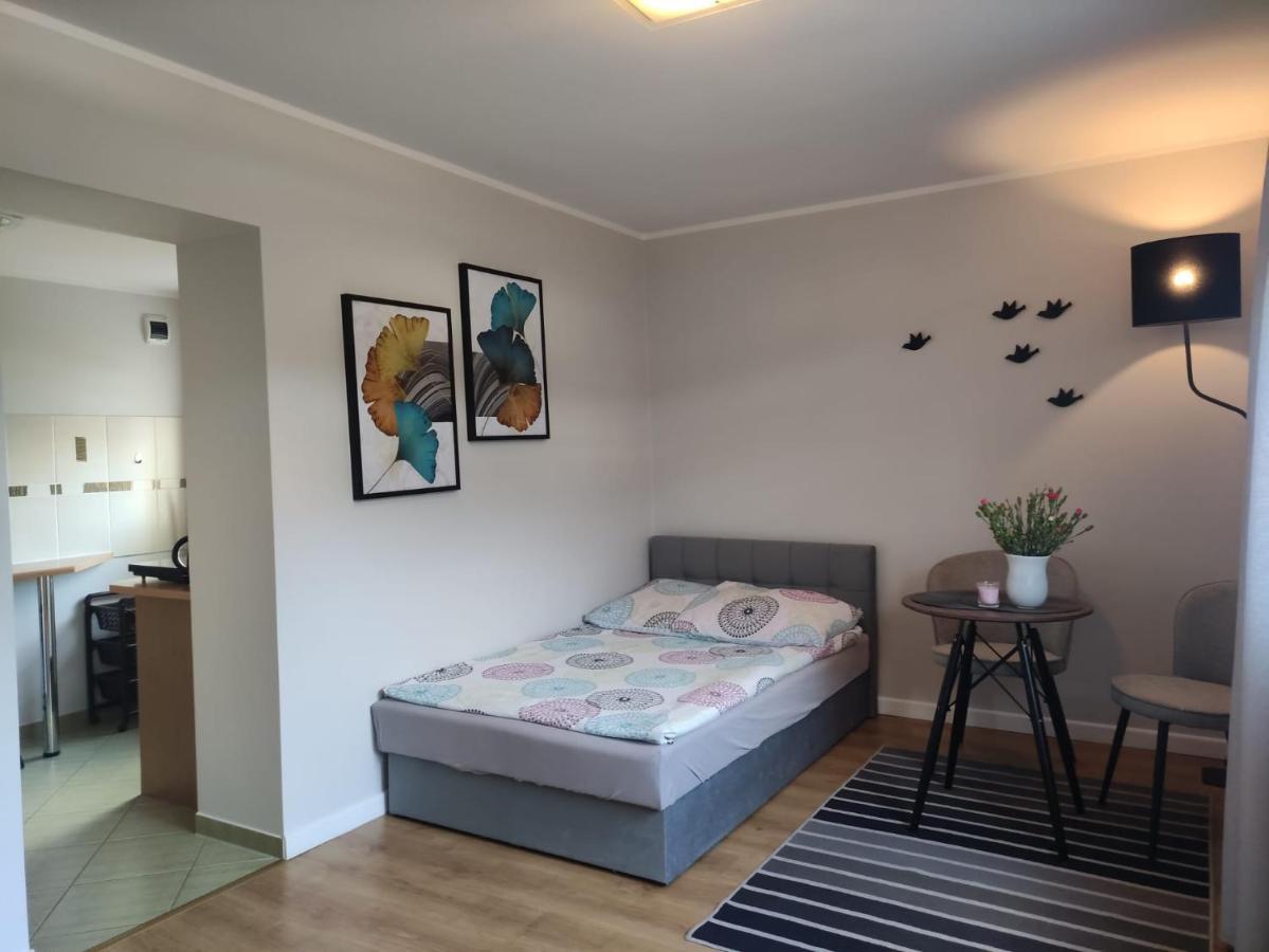 Dom Goscinny Panorama 미엥지즈드로예 외부 사진